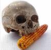skull corn